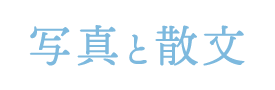 写真と散文｜残したものとコトバの置場